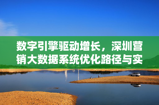 数字引擎驱动增长，深圳营销大数据系统优化路径与实践，数字引擎驱动增长，深圳营销大数据系统优化路径与实践
