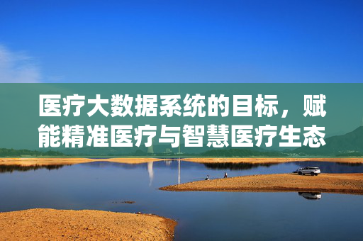 医疗大数据系统的目标，赋能精准医疗与智慧医疗生态构建，医疗大数据系统赋能精准医疗与智慧医疗生态构建