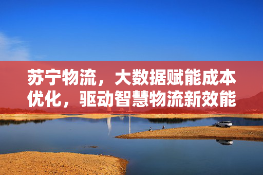 苏宁物流，大数据赋能成本优化，驱动智慧物流新效能，苏宁物流，大数据赋能成本优化，驱动智慧物流新效能