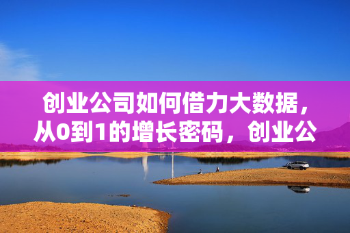 创业公司如何借力大数据，从0到1的增长密码，创业公司借力大数据，从0到1的增长密码