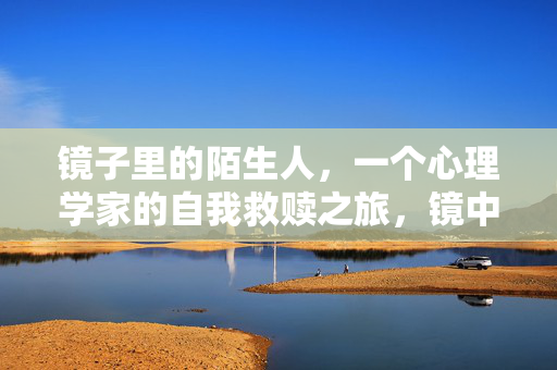 镜子里的陌生人，一个心理学家的自我救赎之旅，镜中陌生人，心理学家的自我救赎