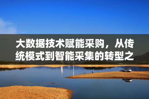 大数据技术赋能采购，从传统模式到智能采集的转型之路，大数据技术赋能采购，从传统模式到智能采集的转型