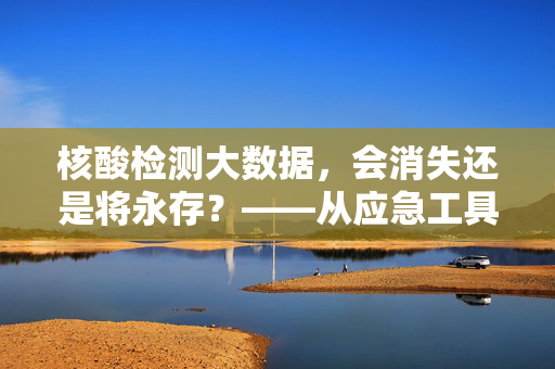 核酸检测大数据，会消失还是将永存？——从应急工具到常态化治理的思考，核酸检测大数据，从应急工具到常态化治理的永续之问