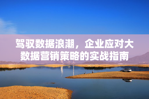 驾驭数据浪潮，企业应对大数据营销策略的实战指南