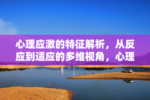 心理应激的特征解析，从反应到适应的多维视角，心理应激的反应与适应，多维特征解析