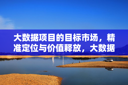 大数据项目的目标市场，精准定位与价值释放，大数据项目，目标市场的精准定位与价值释放