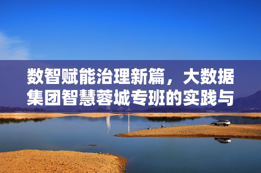 数智赋能治理新篇，大数据集团智慧蓉城专班的实践与探索，大数据集团智慧蓉城专班，数智赋能治理新篇的实践探索