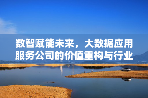 数智赋能未来，大数据应用服务公司的价值重构与行业深耕，数智赋能未来，大数据应用服务公司的价值重构与行业深耕