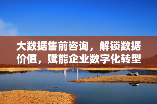 大数据售前咨询，解锁数据价值，赋能企业数字化转型，大数据售前咨询，解锁数据价值，赋能企业数字化转型