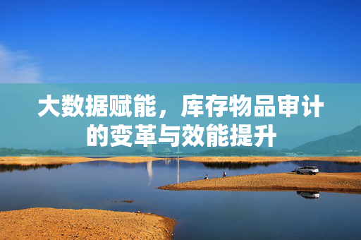 大数据赋能，库存物品审计的变革与效能提升