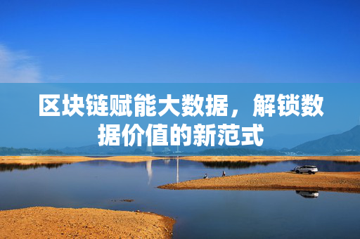 区块链赋能大数据，解锁数据价值的新范式