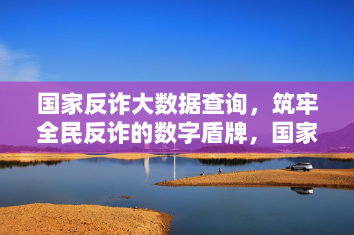 国家反诈大数据查询，筑牢全民反诈的数字盾牌，国家反诈大数据查询，筑牢全民数字盾牌