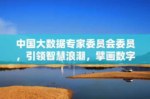 中国大数据专家委员会委员，引领智慧浪潮，擘画数字未来，大数据专家委员引领智慧浪潮擘画数字未来