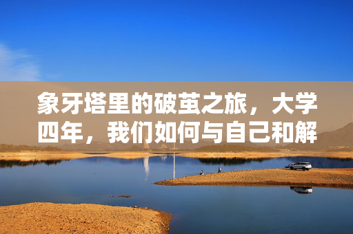 象牙塔里的破茧之旅，大学四年，我们如何与自己和解，象牙塔四年，一场与自己和解的破茧之旅