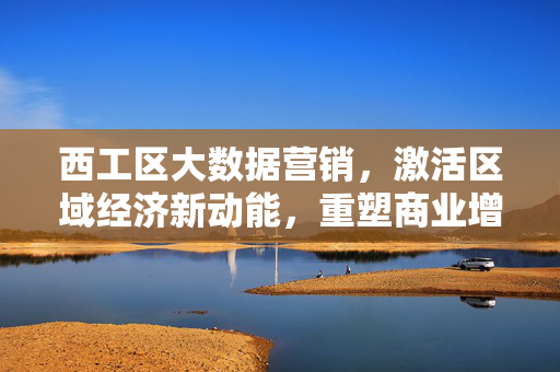 西工区大数据营销，激活区域经济新动能，重塑商业增长密码，西工区大数据营销激活区域经济新动能 重塑商业增长密码