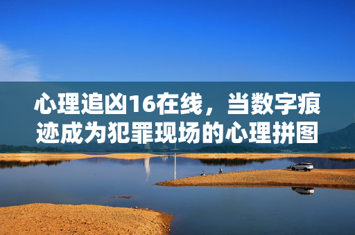 心理追凶16在线，当数字痕迹成为犯罪现场的心理拼图，数字痕迹，心理追凶的犯罪现场拼图