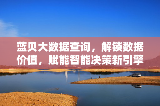蓝贝大数据查询，解锁数据价值，赋能智能决策新引擎，蓝贝大数据查询，解锁数据价值，赋能智能决策新引擎