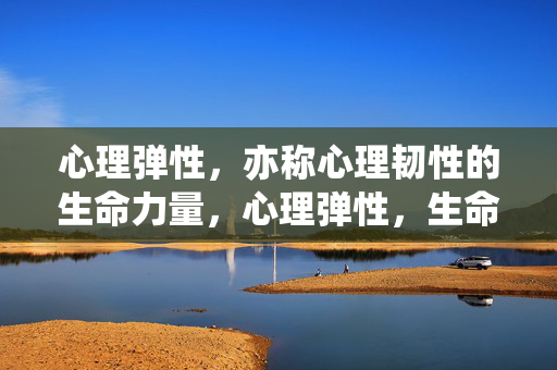 心理弹性，亦称心理韧性的生命力量，心理弹性，生命韧性的力量