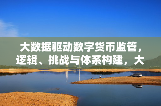 大数据驱动数字货币监管，逻辑、挑战与体系构建，大数据驱动数字货币监管，逻辑、挑战与体系构建