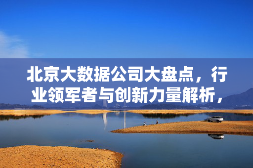 北京大数据公司大盘点，行业领军者与创新力量解析，北京大数据公司，领军者与创新力量大盘点