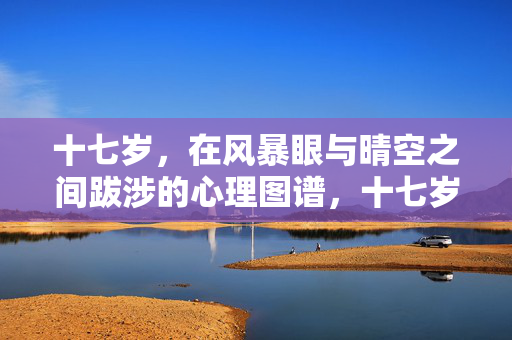 十七岁，在风暴眼与晴空之间跋涉的心理图谱，十七岁，风暴眼与晴空间的心理图谱