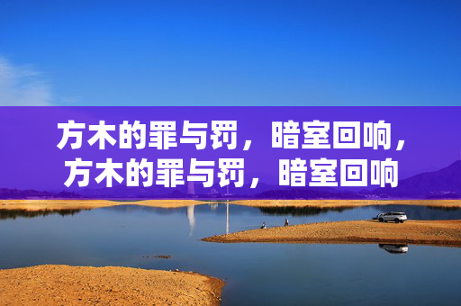 方木的罪与罚，暗室回响，方木的罪与罚，暗室回响