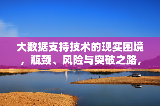 大数据支持技术的现实困境，瓶颈、风险与突破之路，大数据支持技术的现实困境、风险与突破之路