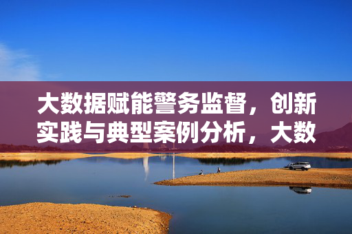 大数据赋能警务监督，创新实践与典型案例分析，大数据赋能警务监督，创新实践与典型案例分析