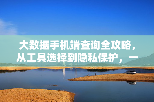 大数据手机端查询全攻略，从工具选择到隐私保护，一篇搞定，手机端大数据查询全攻略，工具选择到隐私保护，一篇搞定