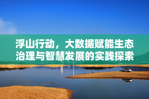 浮山行动，大数据赋能生态治理与智慧发展的实践探索，浮山行动，大数据赋能生态治理与智慧发展的实践探索