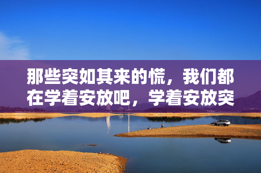那些突如其来的慌，我们都在学着安放吧，学着安放突如其来的慌