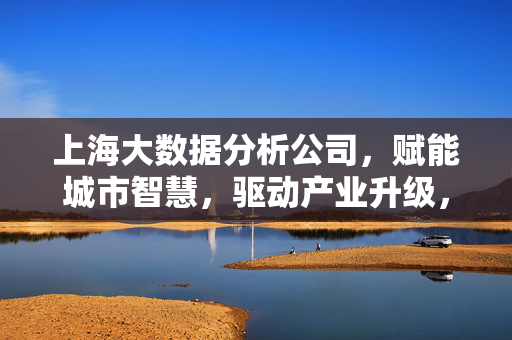 上海大数据分析公司，赋能城市智慧，驱动产业升级，上海大数据分析公司，赋能城市智慧，驱动产业升级