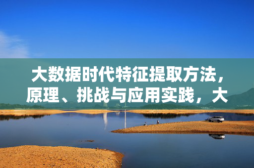 大数据时代特征提取方法，原理、挑战与应用实践，大数据时代特征提取，方法、原理、挑战与应用实践