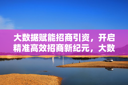 大数据赋能招商引资，开启精准高效招商新纪元，大数据赋能精准高效招商，开启招商引资新纪元
