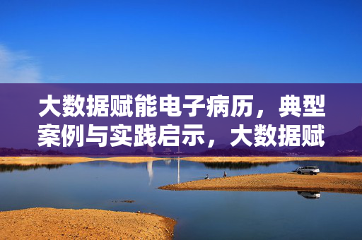 大数据赋能电子病历，典型案例与实践启示，大数据赋能电子病历，典型案例与实践启示