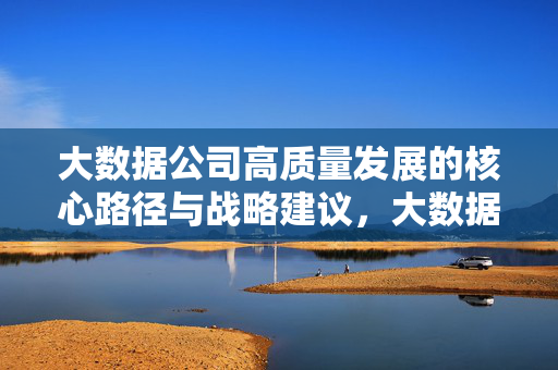 大数据公司高质量发展的核心路径与战略建议，大数据公司高质量发展的核心路径与战略建议
