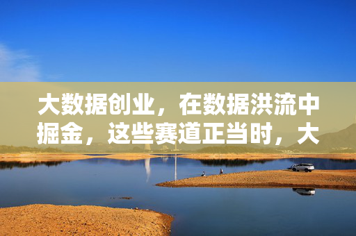 大数据创业，在数据洪流中掘金，这些赛道正当时，大数据创业掘金，洪流涌动，赛道正当时