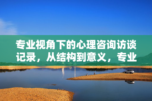 专业视角下的心理咨询访谈记录，从结构到意义，专业视角下心理咨询访谈记录，结构解析与意义阐释