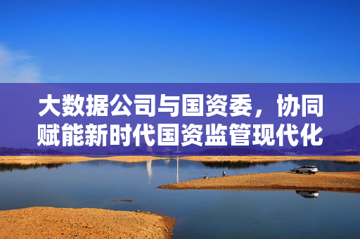大数据公司与国资委,协同赋能新时代国资监管现代化,大数据公司与国资委协同赋能新时代国资监管现代化