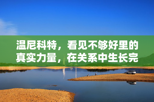 温尼科特，看见不够好里的真实力量，在关系中生长完整自我