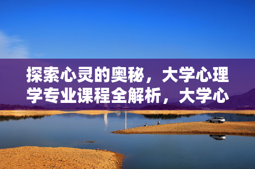 探索心灵的奥秘，大学心理学专业课程全解析，大学心理学专业课程，探索心灵奥秘全解析