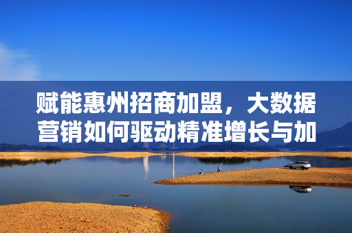 赋能惠州招商加盟，大数据营销如何驱动精准增长与加盟共赢，大数据营销赋能惠州招商加盟，驱动精准增长与共赢