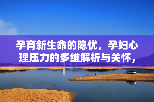 孕育新生命的隐忧，孕妇心理压力的多维解析与关怀，孕育新生命隐忧下的孕妇心理压力，多维解析与关怀