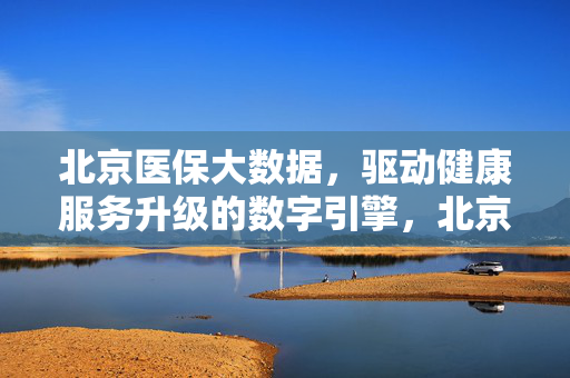 北京医保大数据，驱动健康服务升级的数字引擎，北京医保大数据，健康服务升级的数字引擎