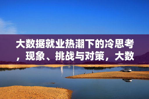 大数据就业热潮下的冷思考，现象、挑战与对策，大数据就业热潮下的冷思考，现象、挑战与对策