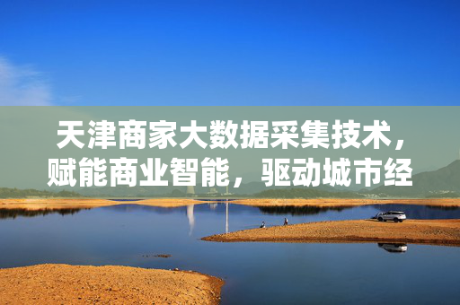 天津商家大数据采集技术，赋能商业智能，驱动城市经济新活力，天津商家大数据采集技术赋能商业智能驱动城市经济新活力