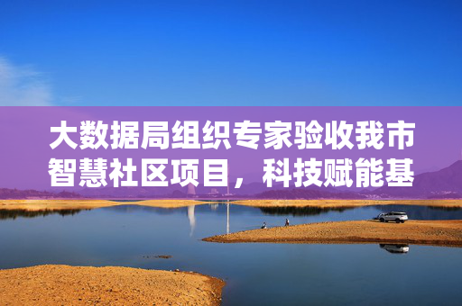 大数据局组织专家验收我市智慧社区项目，科技赋能基层治理，智慧服务点亮民生新图景，智慧社区项目通过验收 科技赋能基层治理点亮民生新图景