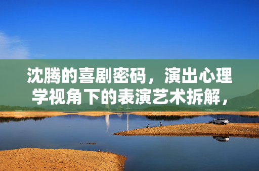 沈腾的喜剧密码，演出心理学视角下的表演艺术拆解，沈腾的喜剧密码，演出心理学视角下的表演艺术拆解