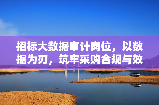 招标大数据审计岗位，以数据为刃，筑牢采购合规与效能的双重防线，数据为刃，招标大数据审计筑牢采购合规与效能防线