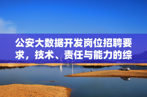 公安大数据开发岗位招聘要求，技术、责任与能力的综合考量